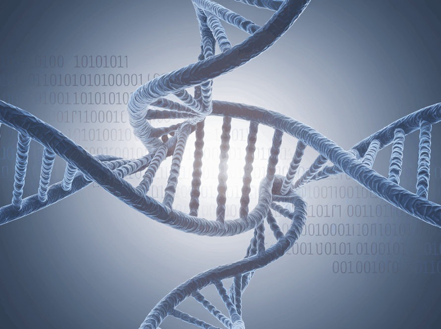 Vector line art of a DNA double helix with one half transforming into a binary code sequence. The helix should be centrally positioned with a soft light source illuminating it from behind.